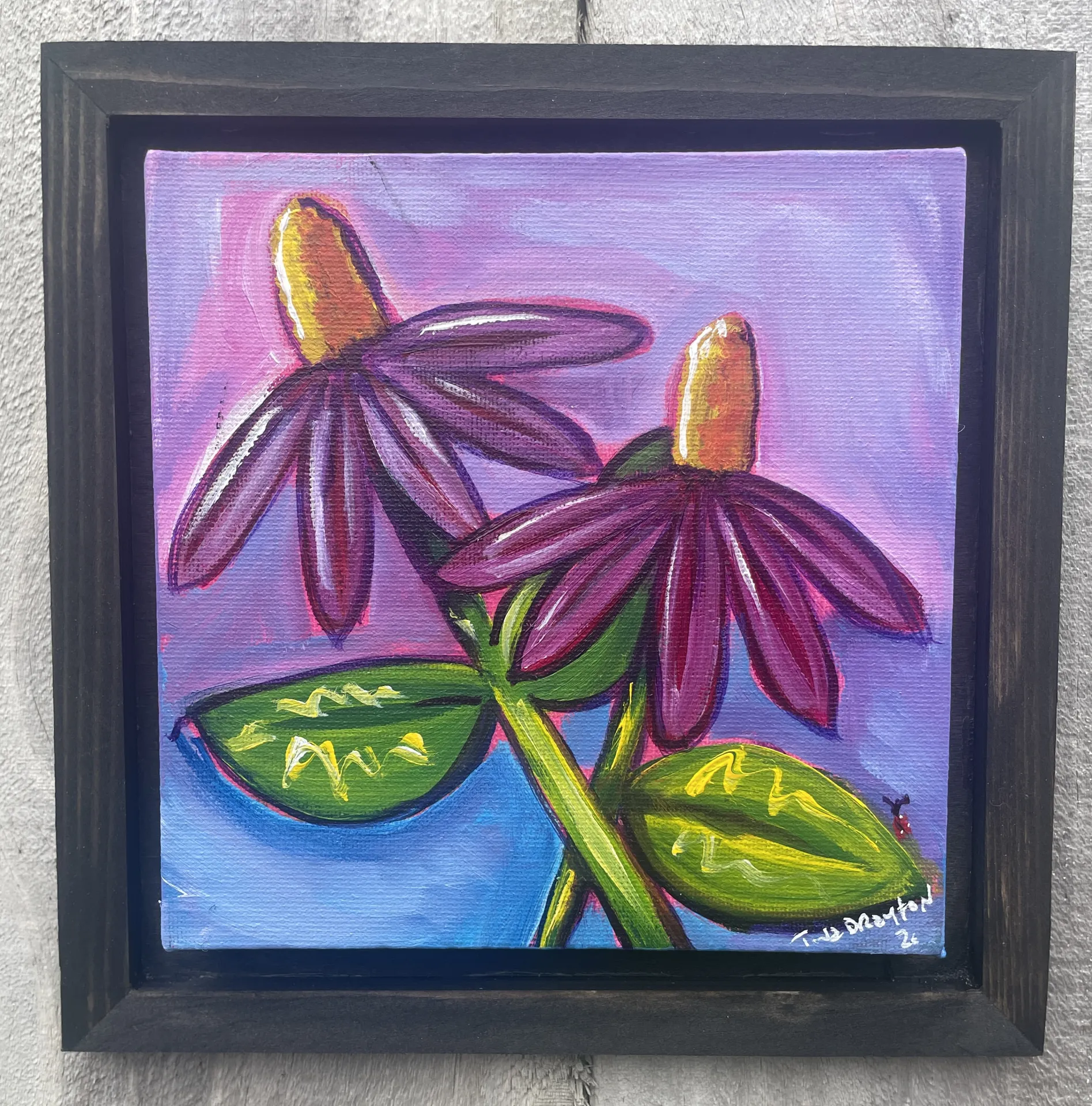 Mini Flower series Echinacea on Canvas